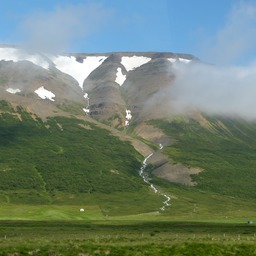 Akur15
