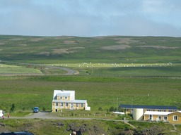 Akur23